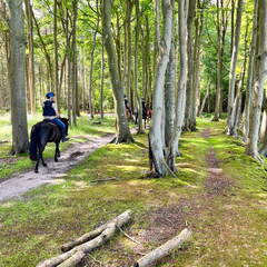 24-07-01 11-23-32 0056